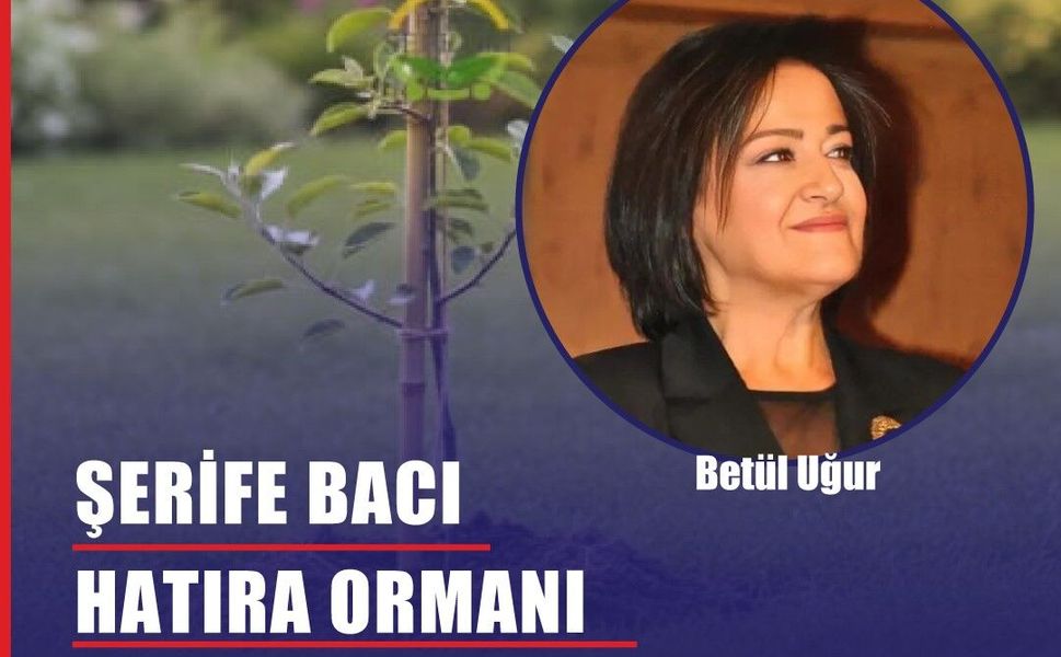 Şehide Şerife Bacı Hatıra Ormanı Çanakkale’de Yeşeriyor