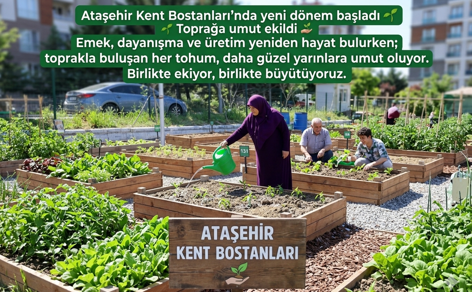 Ataşehir’de Kent Bostanları Yeşeriyor!