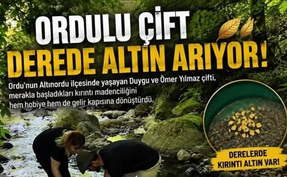 Derelerinde "Altın" Çılgınlığı