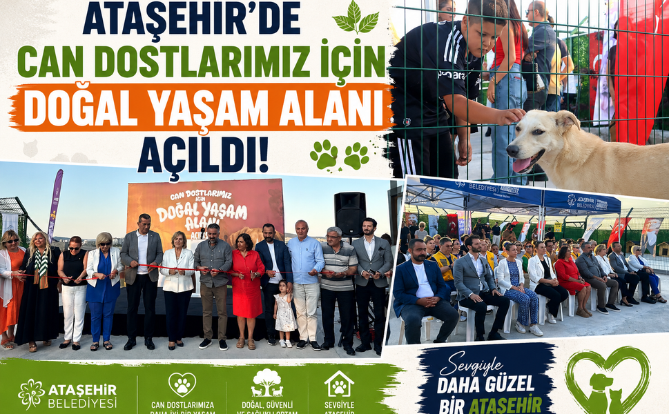 Ataşehir'de Can Dostlarımız İçin Doğal Yaşam Alanı Açıldı!
