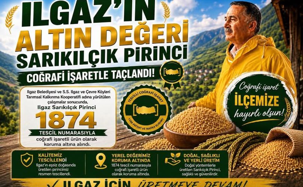 Ilgaz’ın Sarıkılçık Pirinci Coğrafi İşaret Aldı!