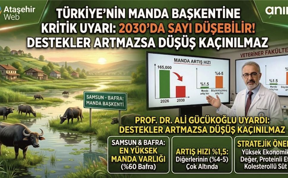 Türkiye'nin Manda Başkentine Kritik Uyarı: 2030 Yılında Büyük Tehlike!