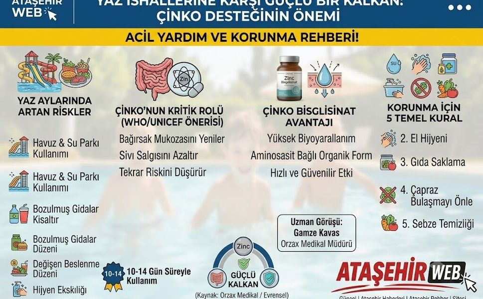 Yaz İshallerine Karşı Güçlü Bir Kalkan: Çinko Desteğinin Önemi