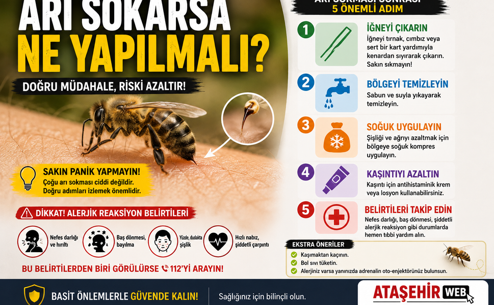 ARI SOKARSA NE YAPILMALI