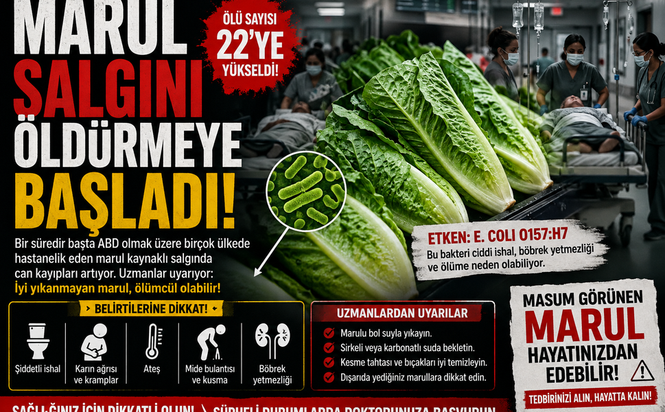MARUL SALGINI  ÖLDÜRMEYE BAŞLADI