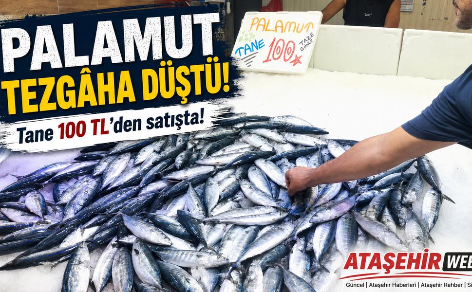 Palamut Tezgâha Düştü!