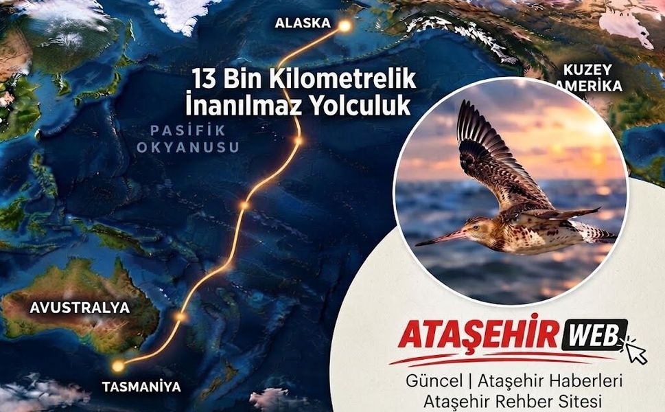 13 Bin Kilometrelik İnanılmaz Yolculuk
