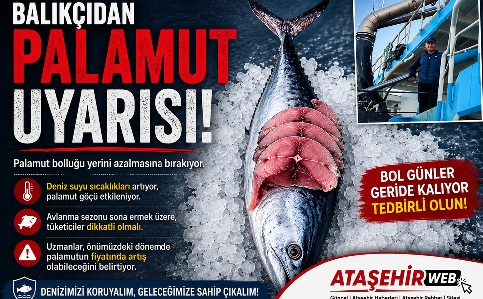 Balıkçı esnafından vatandaşlara 'palamut' uyarısı: Şimdilik derin dondurucuya koymayın!