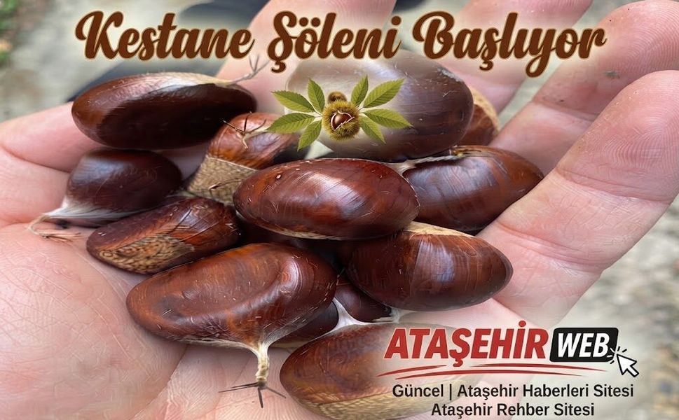 Kestane Şöleni Başlıyor