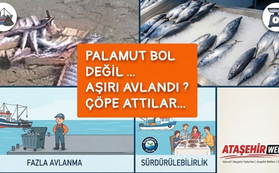 Palamut Neden "Çöp" Oluyor?