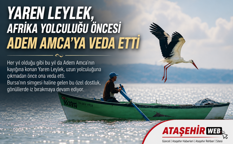 Yaren Leylek Sevimli Dostuna Veda Etti: Afrika Yolculuğu Başladı!