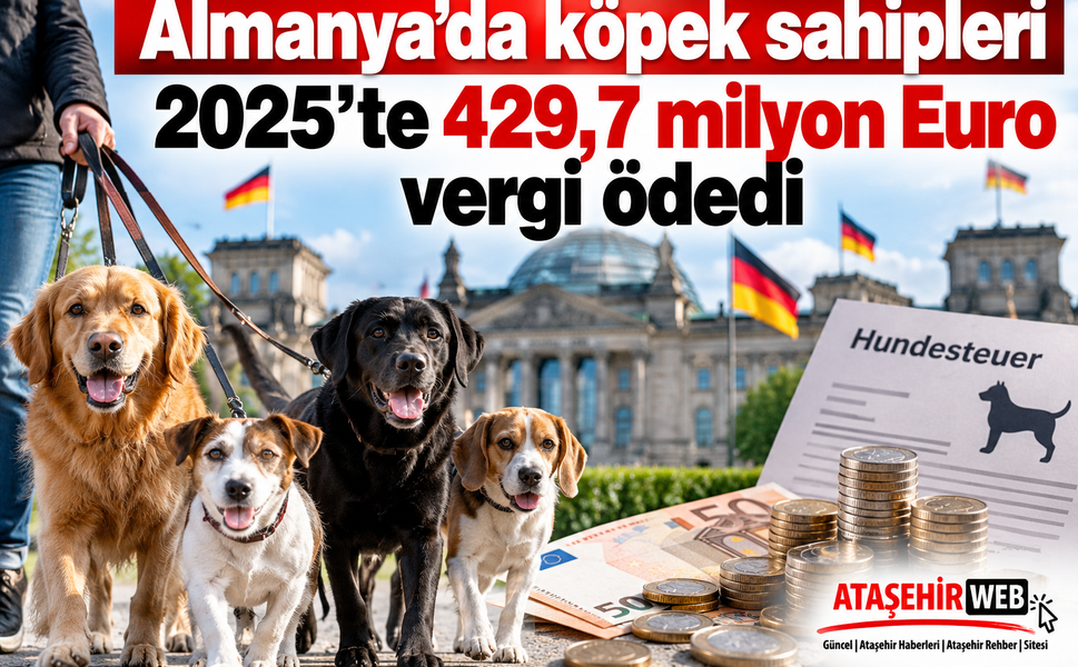 Almanya'da köpek sahipleri 2025’te 429,7 milyon Euro vergi ödedi