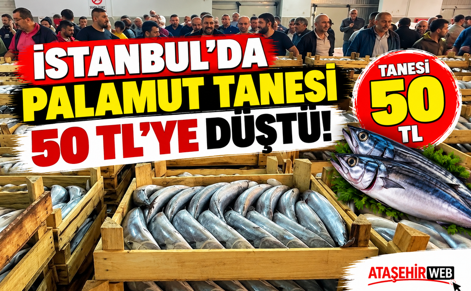 İstanbul’da Palamut Tanesi 50 TL’ye Düştü!