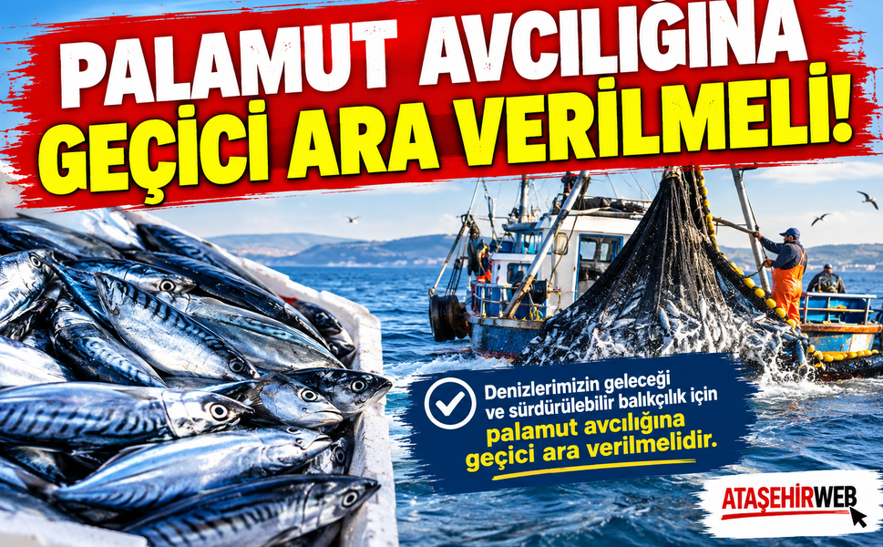 Palamut Avcılığına Geçici Ara Verilmeli!
