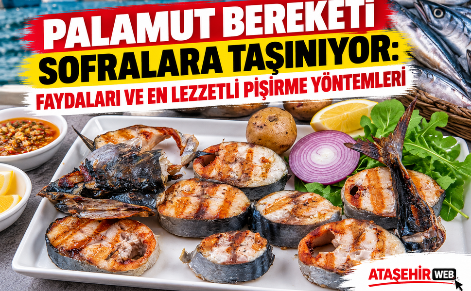 Palamut Bereketi Sofralara Taşınıyor: Faydaları ve En Lezzetli Pişirme Yöntemleri