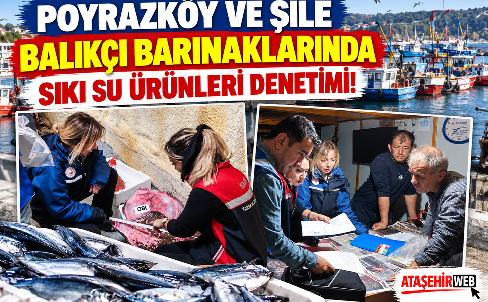 Poyrazköy ve Şile Balıkçı Barınaklarında Sıkı Su Ürünleri Denetimi!